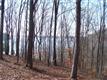 0  Hurricane Creek Bay Road , Stewart, TN