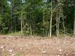 0  Morgan Rd., Tract 4 , Rockvale, TN