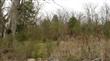 4 Old Manchester Rd, Woodbury, TN 37190