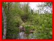 7907  Christiana Fosterville Rd , Christiana, TN