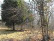1 Hwy 49, Dover, TN 37058