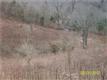 3604  Crafton Foster Rd , Mount Pleasant, TN