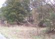 0  Dobbs Hollow Rd , Woodbury, TN