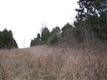 0 Dobbs Hollow Rd, Woodbury, TN 37190