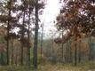 84 Pebble Brook Dr, Ashland City, TN 37015