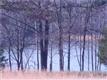 0  Cypress Point Dr , Winchester, TN
