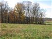7  Gunn Road , Adams, TN
