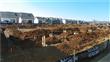 4004  Hoggett Ford Rd #2248 , Hermitage, TN
