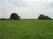 7  Charlie Russell Road , Shelbyville, TN