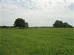 19  Huffman Lane , Shelbyville, TN