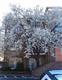 440  2nd Ave S , Nashville, TN