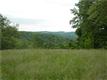 1  Buckeye Rd , Lynchburg, TN