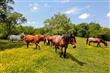 236  Bear Creek Pike , Columbia, TN