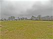 2072 Mcmahan Hollow Rd, Pleasant View, TN 37146