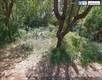 LOT 76 James Street, Fernandina Beach/Amelia Island, FL 32034