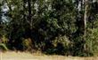 L-526  North Hampton Club W , Fernandina Beach, FL