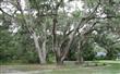   High Pointe Drive , Fernandina Beach, FL