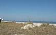  S Fletcher Avenue, Fernandina Beach/Amelia Island, FL 32034
