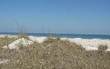  S Fletcher Avenue, Fernandina Beach/Amelia Island, FL 32034