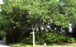 LOT 58 Long Point Drive, Fernandina Beach/Amelia Island, FL 32034