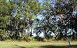 96005 Park Place, Fernandina Beach, FL 32034