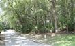 LOT 26  Piney Island Drve , Fernandina Beach, FL