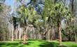 577333  Lessie Road , Hilliard, Florida, FL