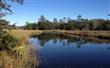 Jacksonville