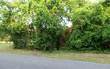  S 13TH STREET 
