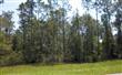   Musslewhite Road , Callahan, FL