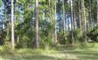 461  North Hampton Club W , Fernandina Beach, FL
