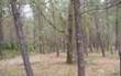 34308 Loblolly Lane, Callahan, FL 32011