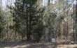 34308 Loblolly Lane, Callahan, FL 32011