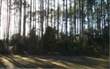 L-385 Napeague Drive, Fernandina Beach, FL 32034
