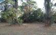 LOT 6  Barrington Drive , Fernandina Beach/Amelia Island, FL