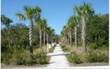 1652  Nolen Lane , Fernandina Beach/Amelia Island, FL