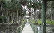 NFR75G Forest Road, Salt Springs Fl, FL 32134
