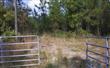 25 ACR Old Dixie Highway, Callahan, FL 32011