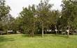 1637 Olmstead Lane, Fernandina Beach/Amelia Island, FL 32034