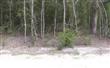  Draggle Lane, Hilliard, FL 32046