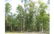 LT 510  North Hampton Estate , Fernandina Beach, FL