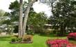 120 N Wolff Street , Fernandina Beach/Amelia Island, FL