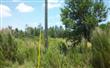   Us Hwy 1 , Hilliard, FL