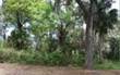 LOT 28  Lanceford Lane , Fernandina Beach, FL