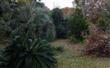 95109  Fletcher Road , Fernandina Beach, FL