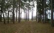 85236  Amanda Court , Yulee, FL