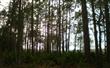 1001  Edwards Road , Yulee, FL