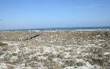 5442  Gregg Street , Fernandina Beach/Amelia Island, FL