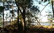 LOT 20  Lanceford Lane , Fernandina Beach, FL