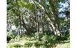 LOT 1B  Carnation Street , Fernandina Beach/Amelia Island, FL